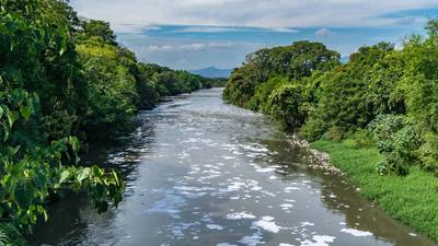 El gigantesco reto para descontaminar el Río Bogotá: un ecosistema que no está tan vivo como antes