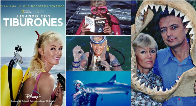 'Playing with Sharks': la historia de una vida dedicada a los tiburones