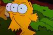 Comparan a pez de tres ojos de Los Simpsons con otro hallado en el río Sinú