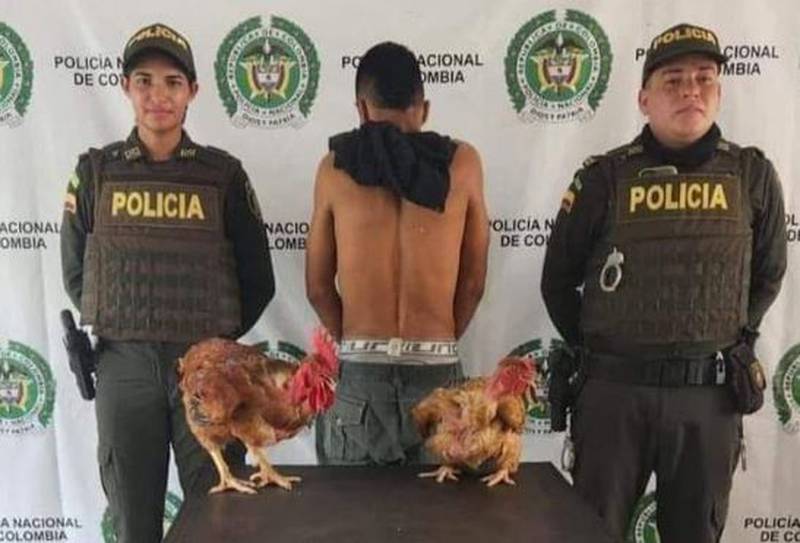 Captura de hombre que se robó dos gallinas