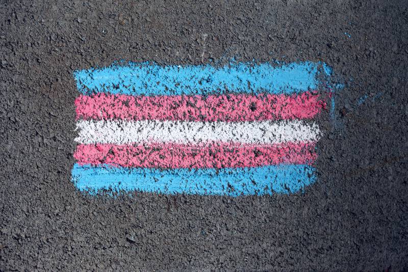 Dia da Visibilidade Trans é celebrado neste sábado