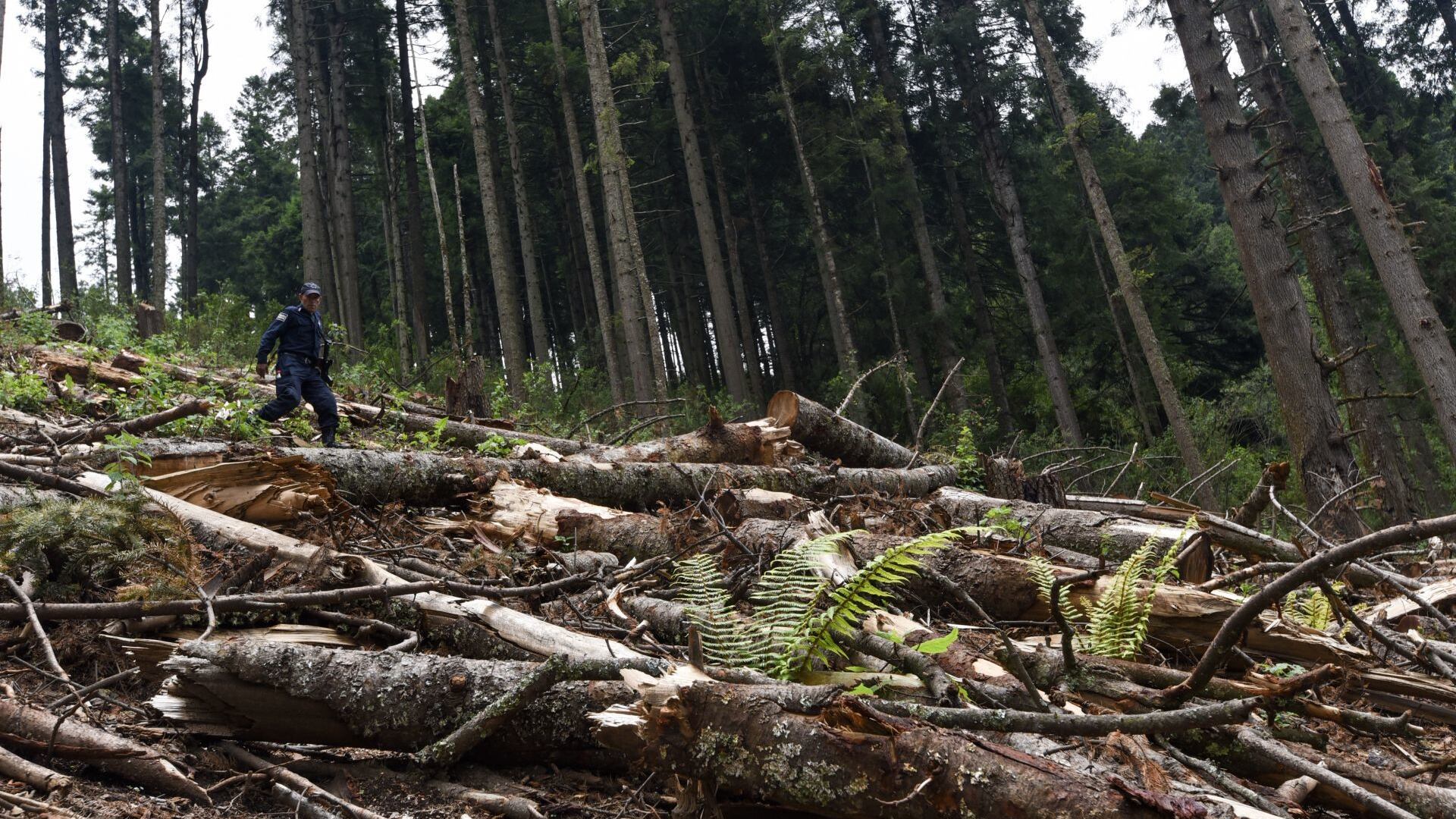 La subsistencia de la vida en la Tierra está en riesgo