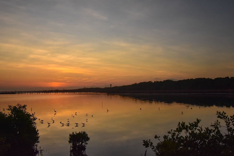 Ecoparque Mallorquín.