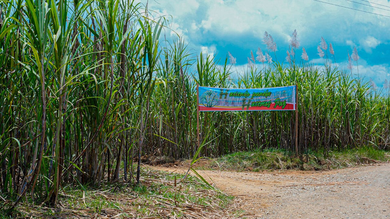 Gobierno exige a la Coordinadora Nacional – EB romper con economías ilícitas para destrabar los diálogos de paz