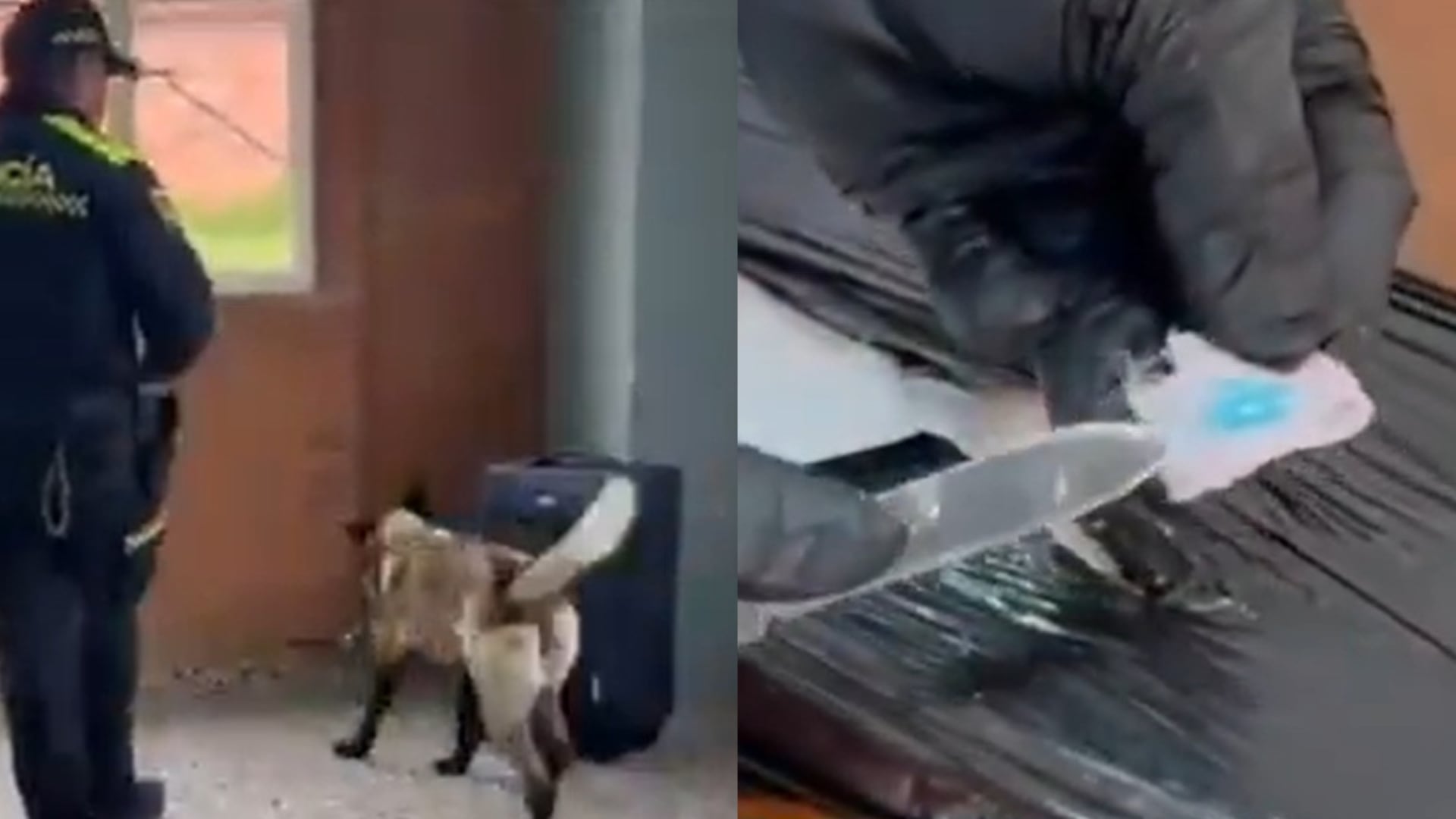 Maleta con droga en El Dorado.