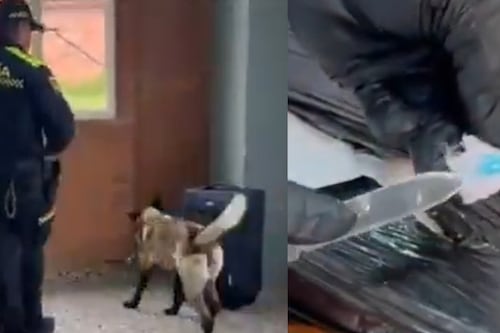 ¿Se arrepintió?: Hallaron más de 8 kilos de cocaína en una maleta abandonada en el aeropuerto El Dorado