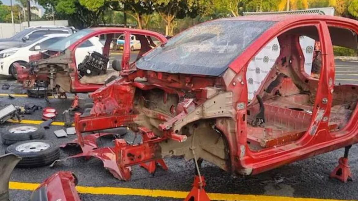 Deshuezaderos en Cali