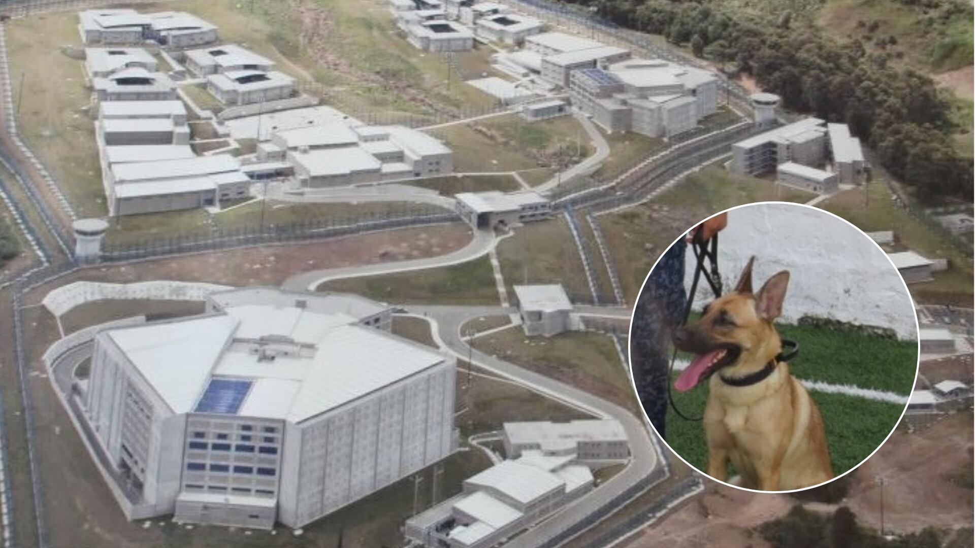 Dragoneante iba a ingresar droga a la cárcel El Pedregal.