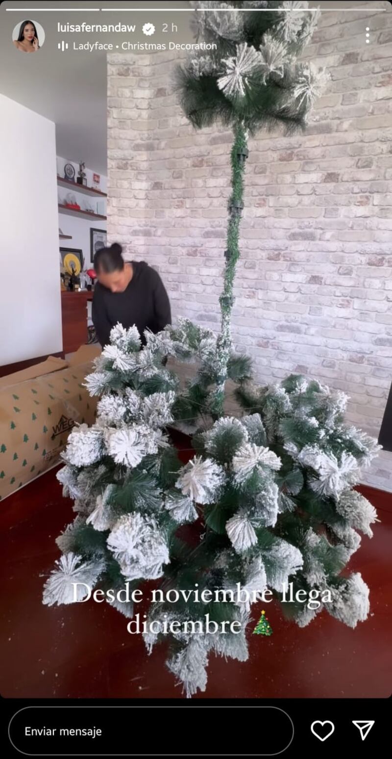 ¿Le picaron las manos? Luisa Fernanda W no escatimó en gastos y ya está modo navidad