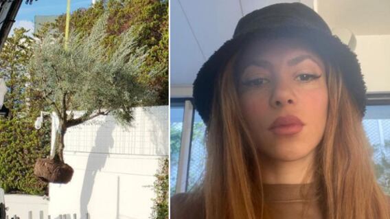 Mudanza de Shakira de Barcelona a Miami