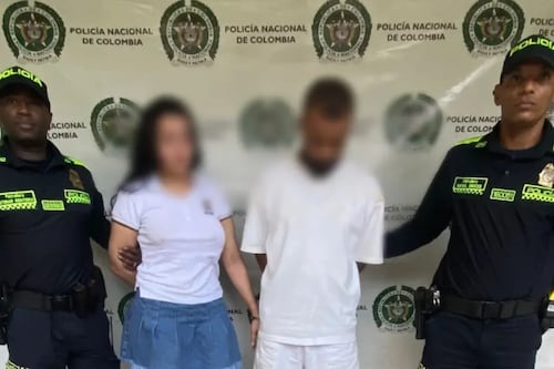 Crueldad extrema: pareja lanzó a su mascota de tres meses desde un séptimo piso durante una discusión