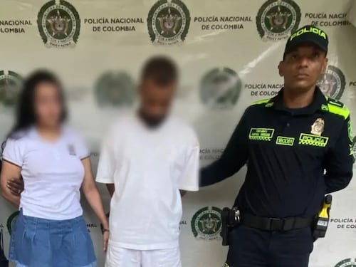 Crueldad extrema: pareja lanzó a su mascota de tres meses desde un séptimo piso durante una discusión