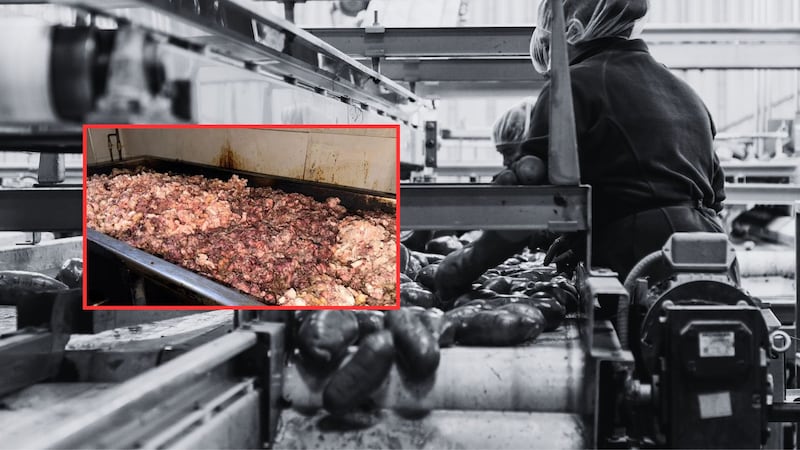 ¡No tenían ni una nevera! Sellaron fábricas con carne en mal estado en el sur de Bogotá