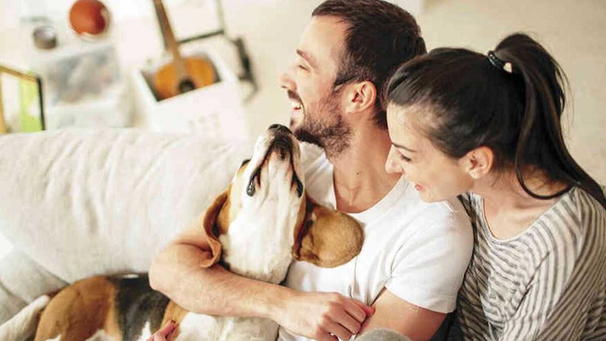 Tener mascota te ayudará a conseguir pareja