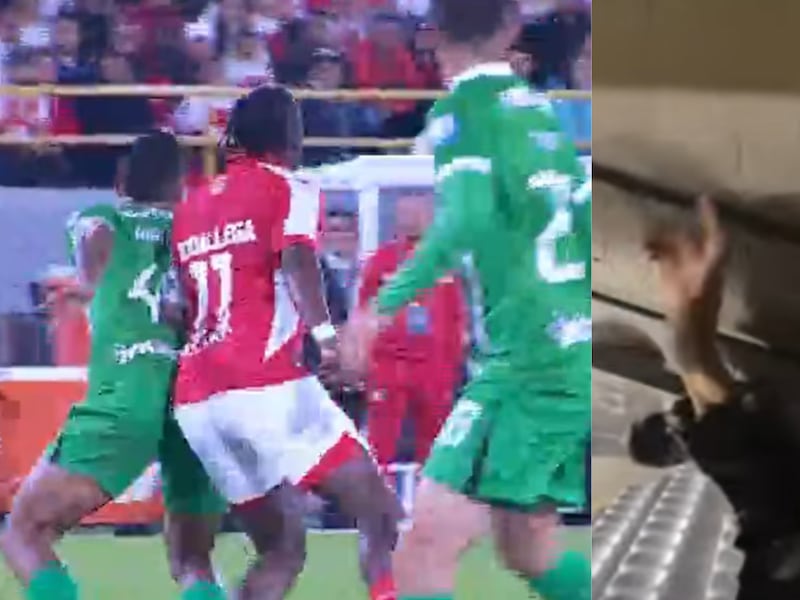 Policía antimotines se olvidó del ‘camello’ y alentó a Nacional en tribuna de El Campín