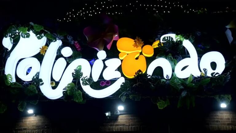 Polinizando, programación de Navidad Bogotá 2022