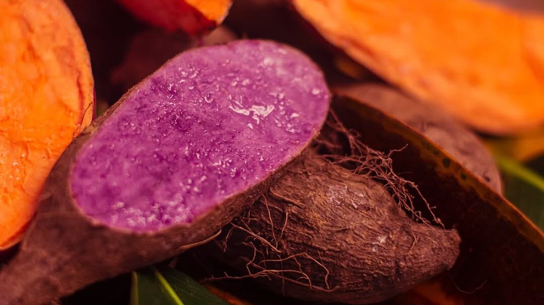 Foto la batata morada de los Montes de María, el superalimento que se traslada a la alta cocina en Cartagena.