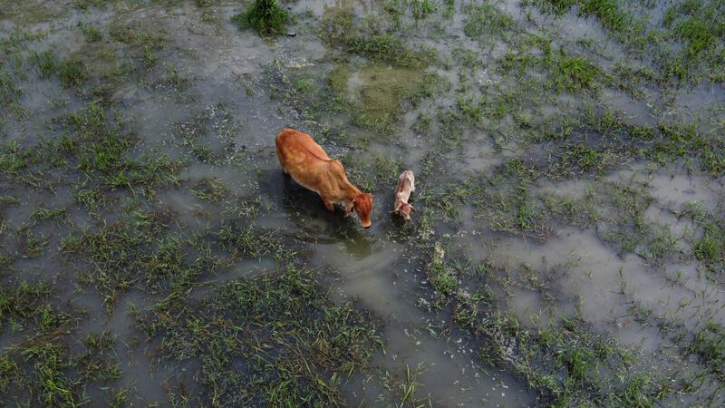 Juan Pablo Pino - PUBLIMETRO