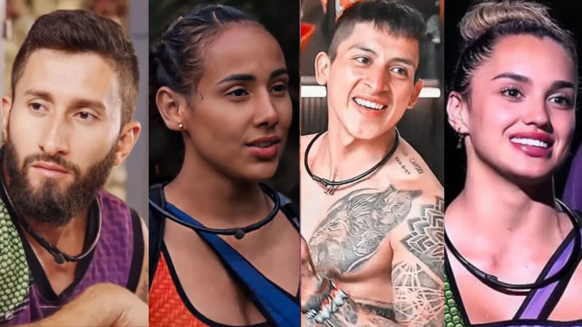 Los cuatro finalistas del Desafío the box