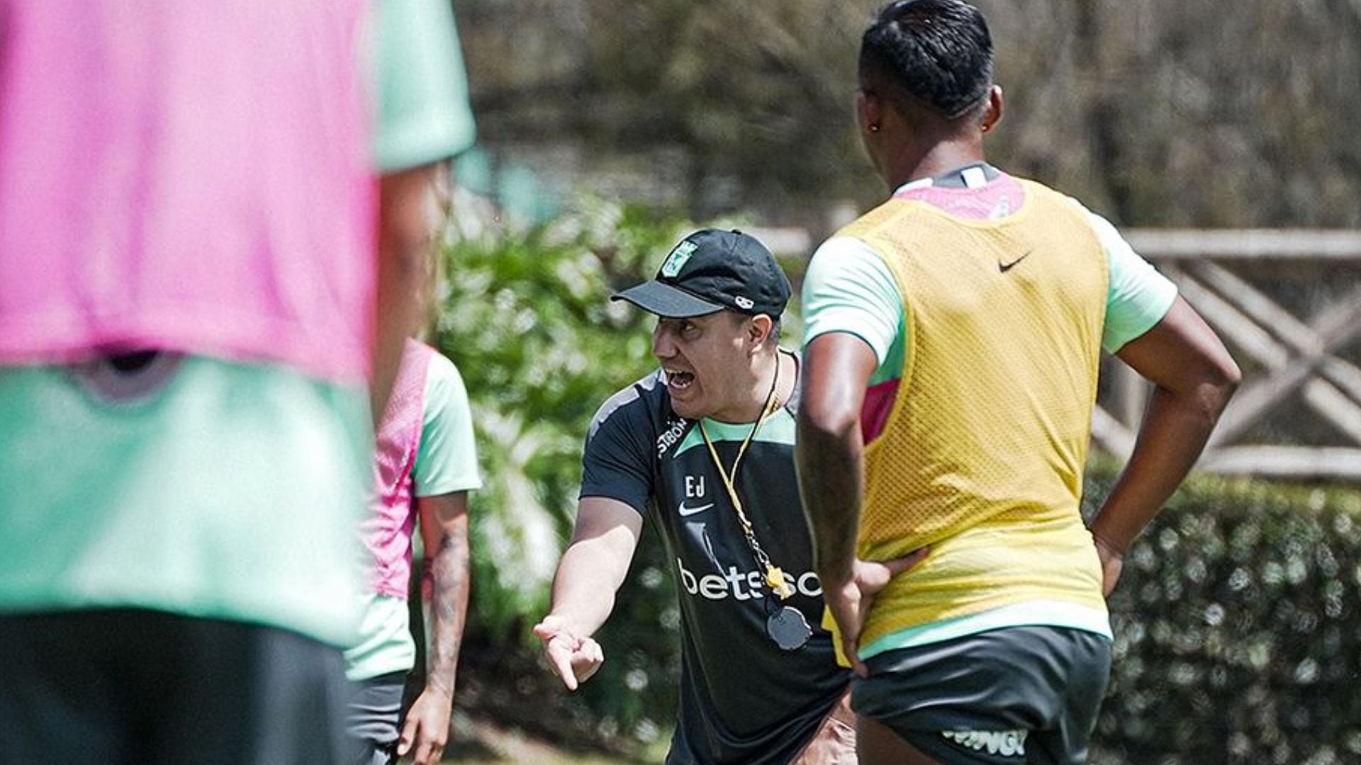 Juan Cruz Real reemplazaría a Efraín Juárez en Atlético Nacional: "Es transición’'