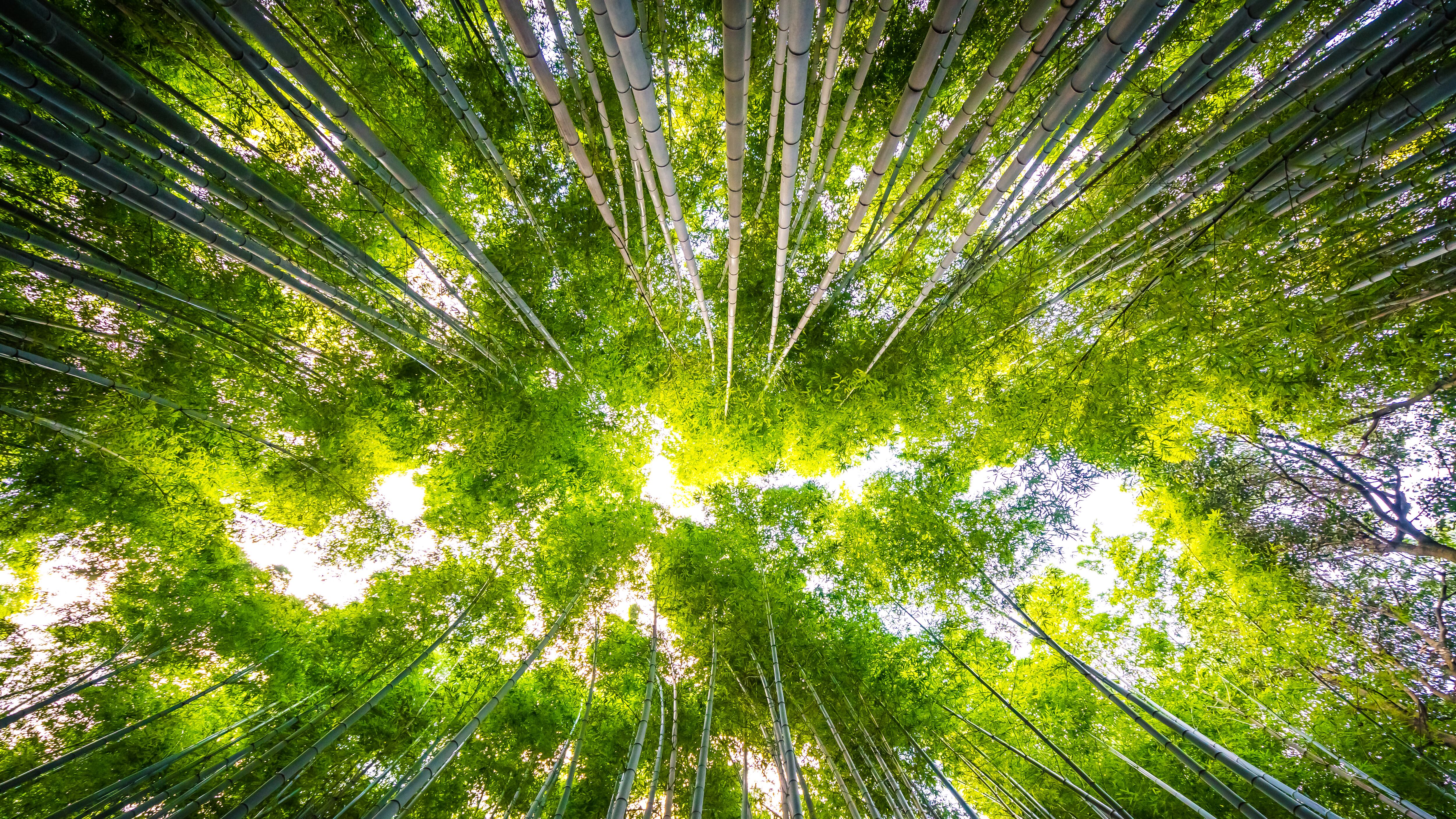 Sostenibilidad Colombia