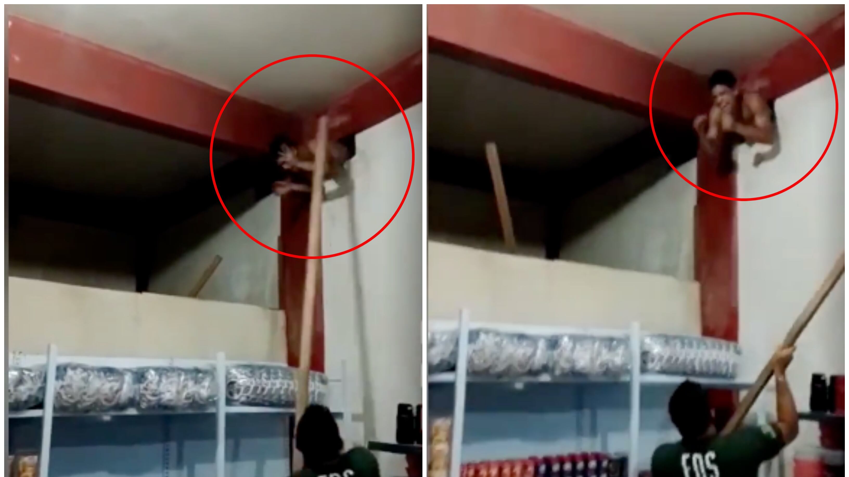 Paloterapia a ladrón atrapado en un hueco.