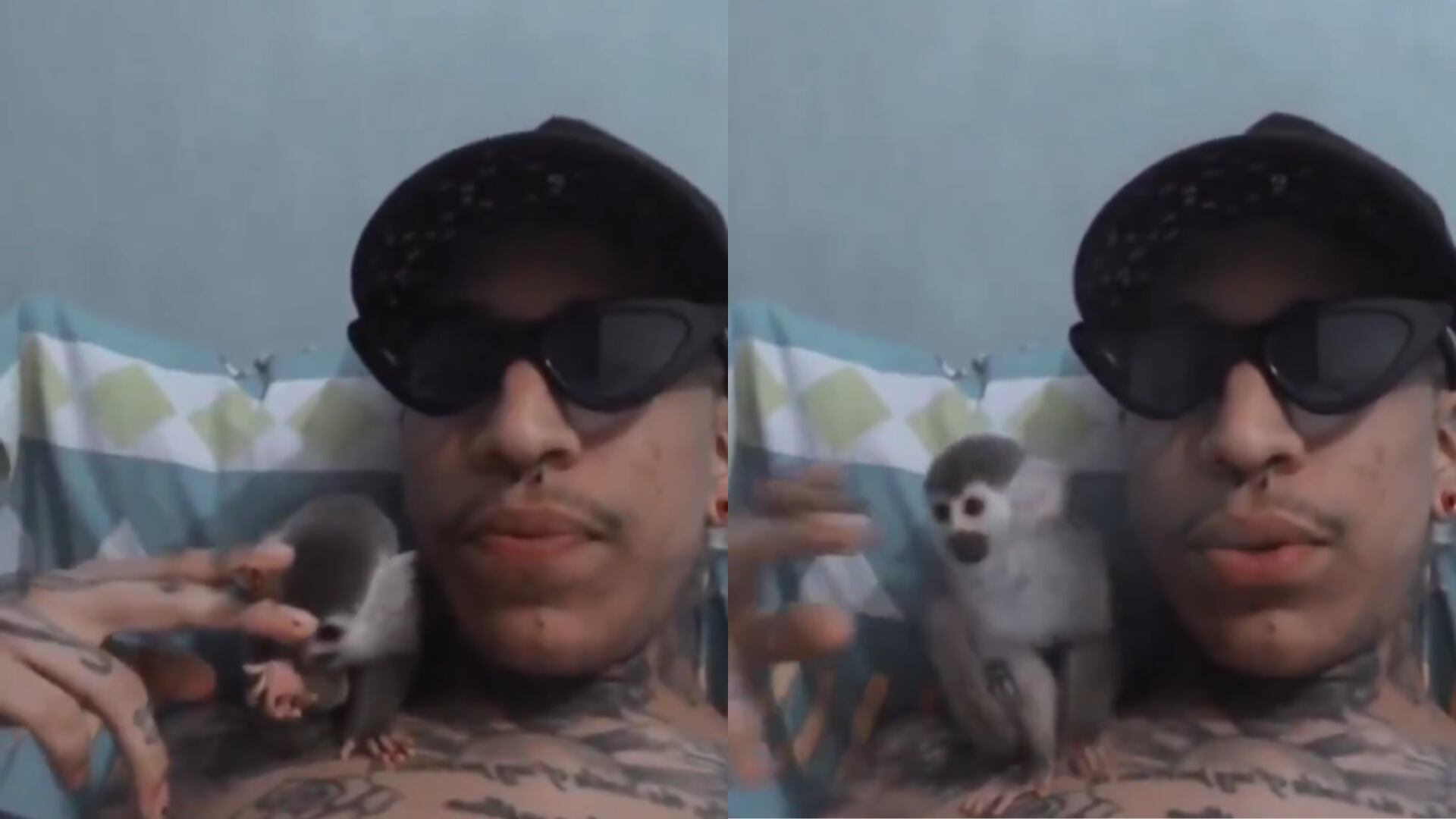 Pirlo quemando a un mono Saimiri - Fotos: Capturas de pantalla de redes sociales