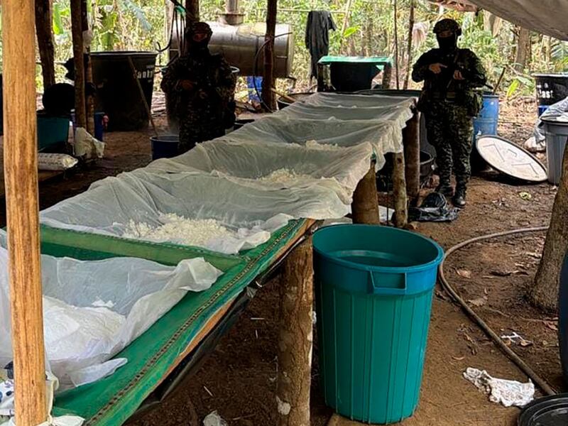 Golpe al narcotráfico en Guaviare: Ejército destruye megacentro de producción de cocaína de las disidencias