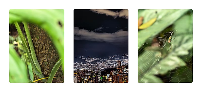 Huawei Mate X7 review