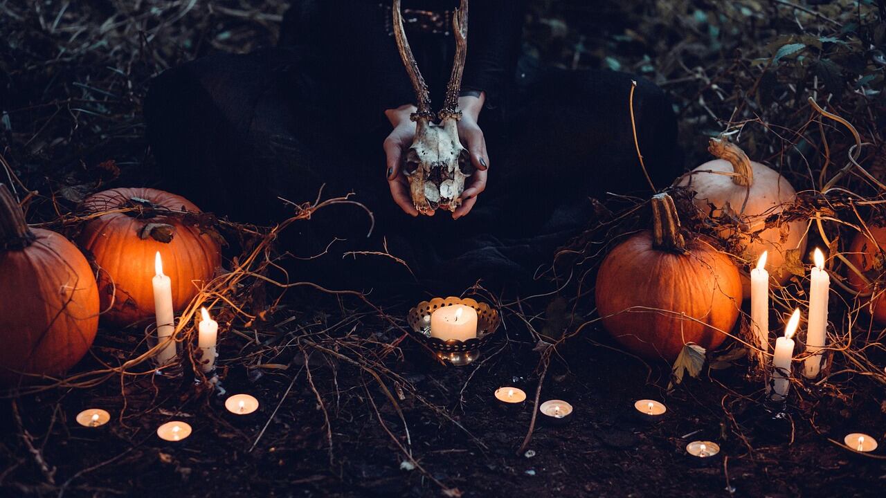 Imagen de referencia.