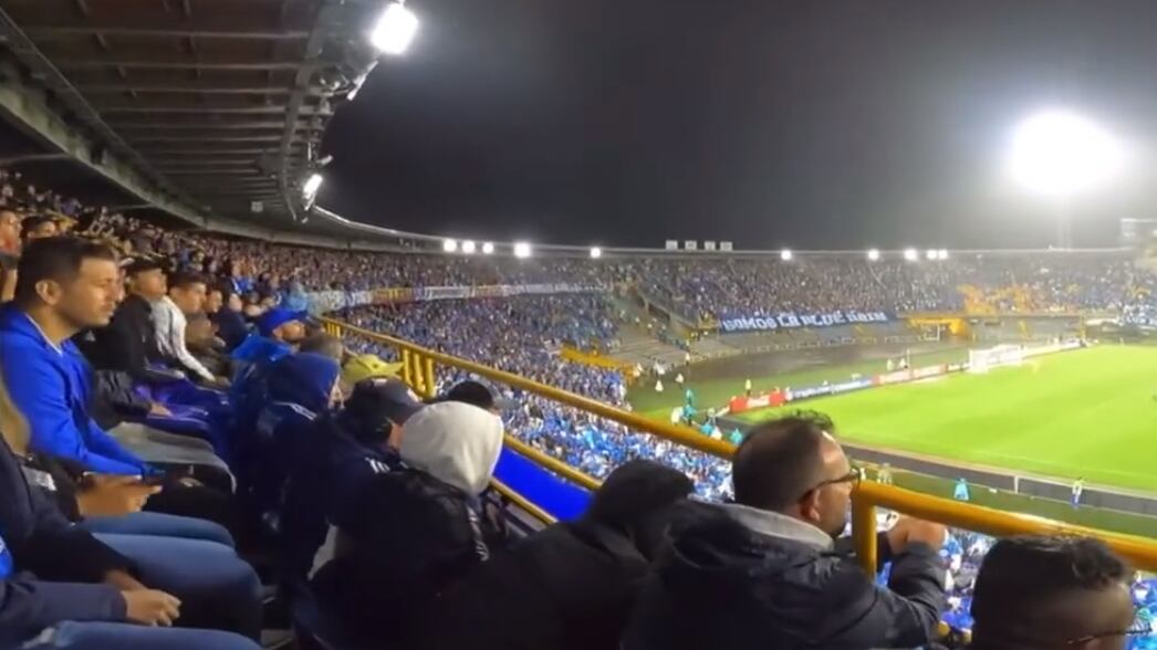 Hinchada de Millonarios