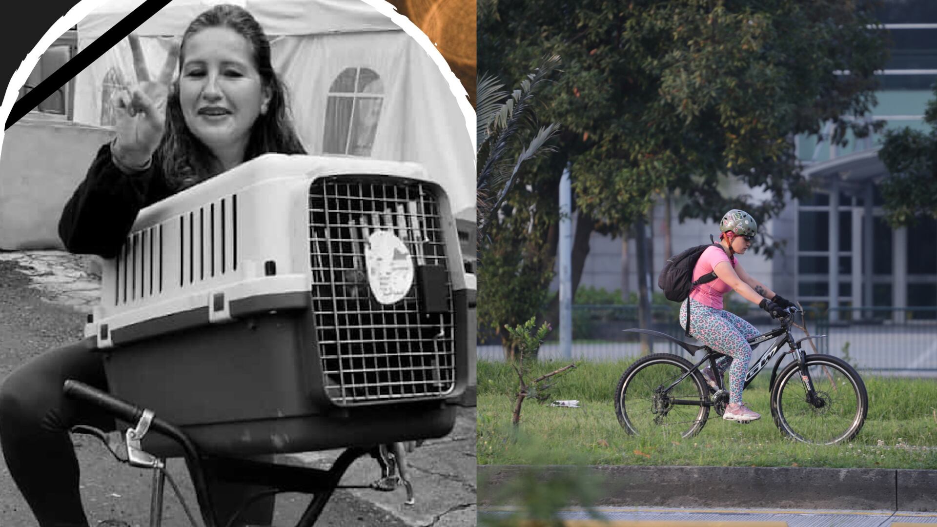 Activista que rescataba gatos de la calle, fue asesinada por robarle una bicicleta en Tercer Milenio