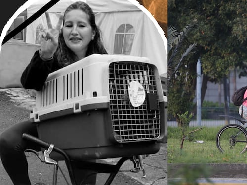Activista que rescataba gatos de la calle, fue asesinada por robarle una bicicleta en Tercer Milenio