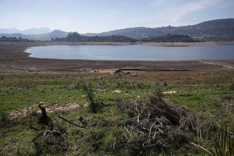 Detalle del bajo nivel de agua en el Embalse de San Rafael, en el municipio de La Calera, Cundinamarca, durante el ‘Fenómeno del Niño’ en abril de 2024