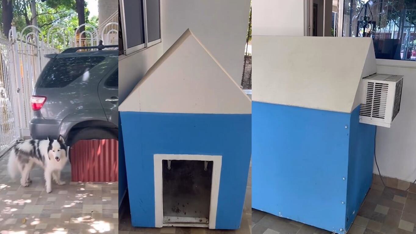 El cantante de vallenato Michel Torres dio a conocer a través de un video en su red social Instagram cómo es la vida de un perro que tiene un amigo acordeonero.