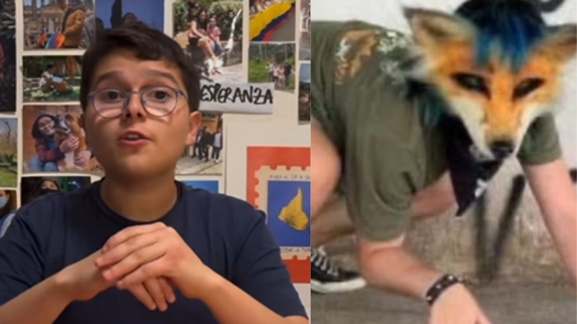 Therians usados para criticar a los más ricos por 'el niño ambientalista'