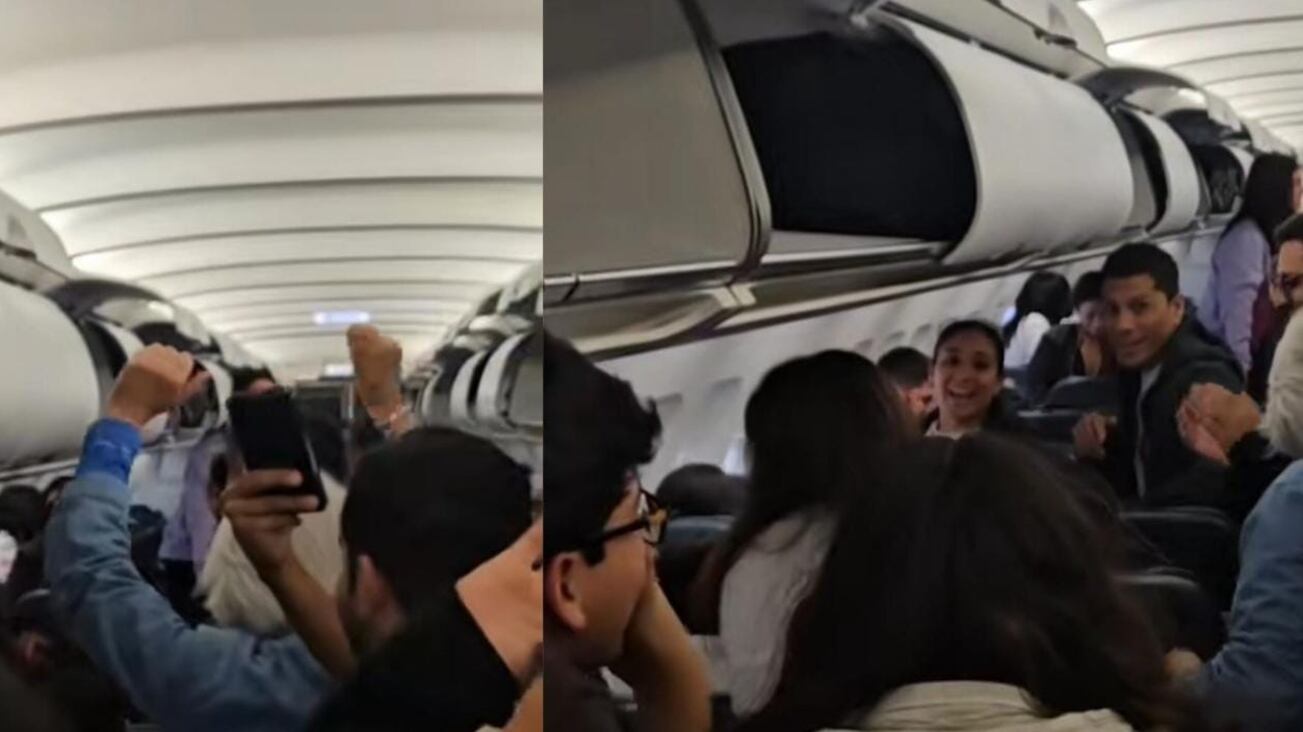 La pérdida de un hámster causó retraso en un vuelo de LATAM y el momento se volvió viral en redes