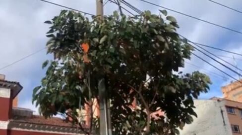 Foto explosión de tipo eléctrico en Bogotá dejó a un gran sector sin energía generando caos en Chapinero