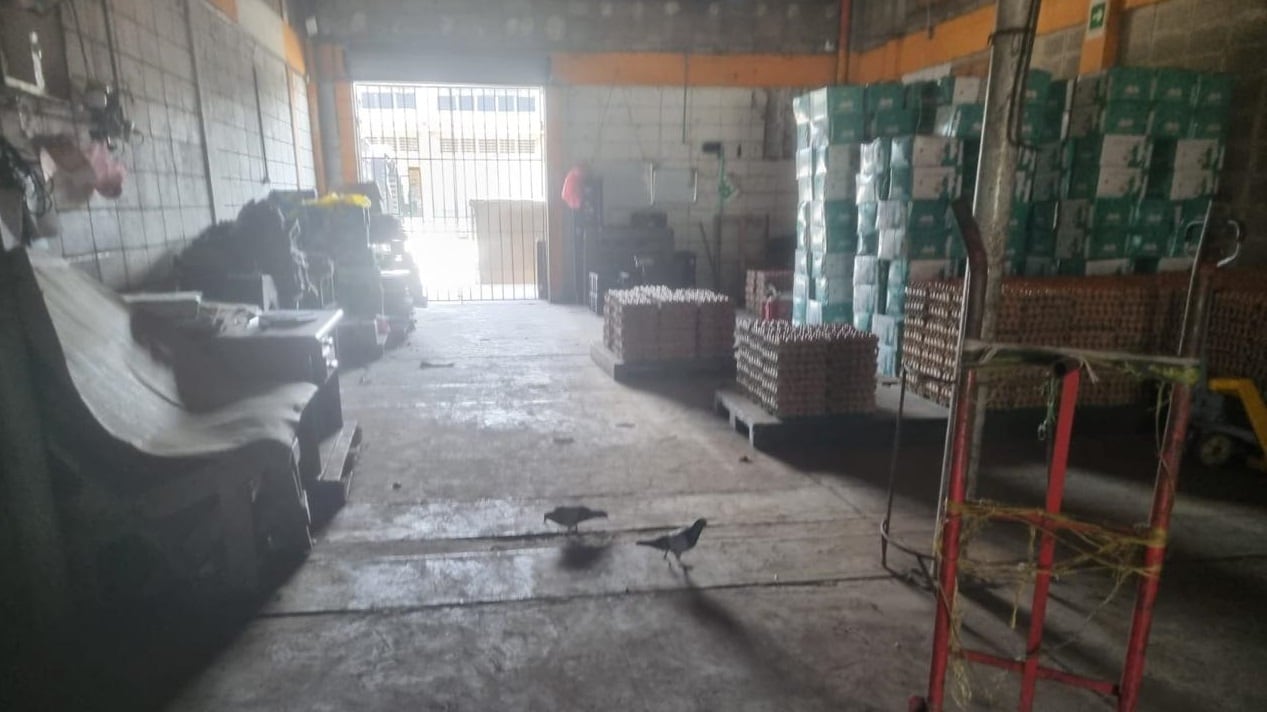 Foto clausuran establecimiento por grave contaminación de alimentos.
