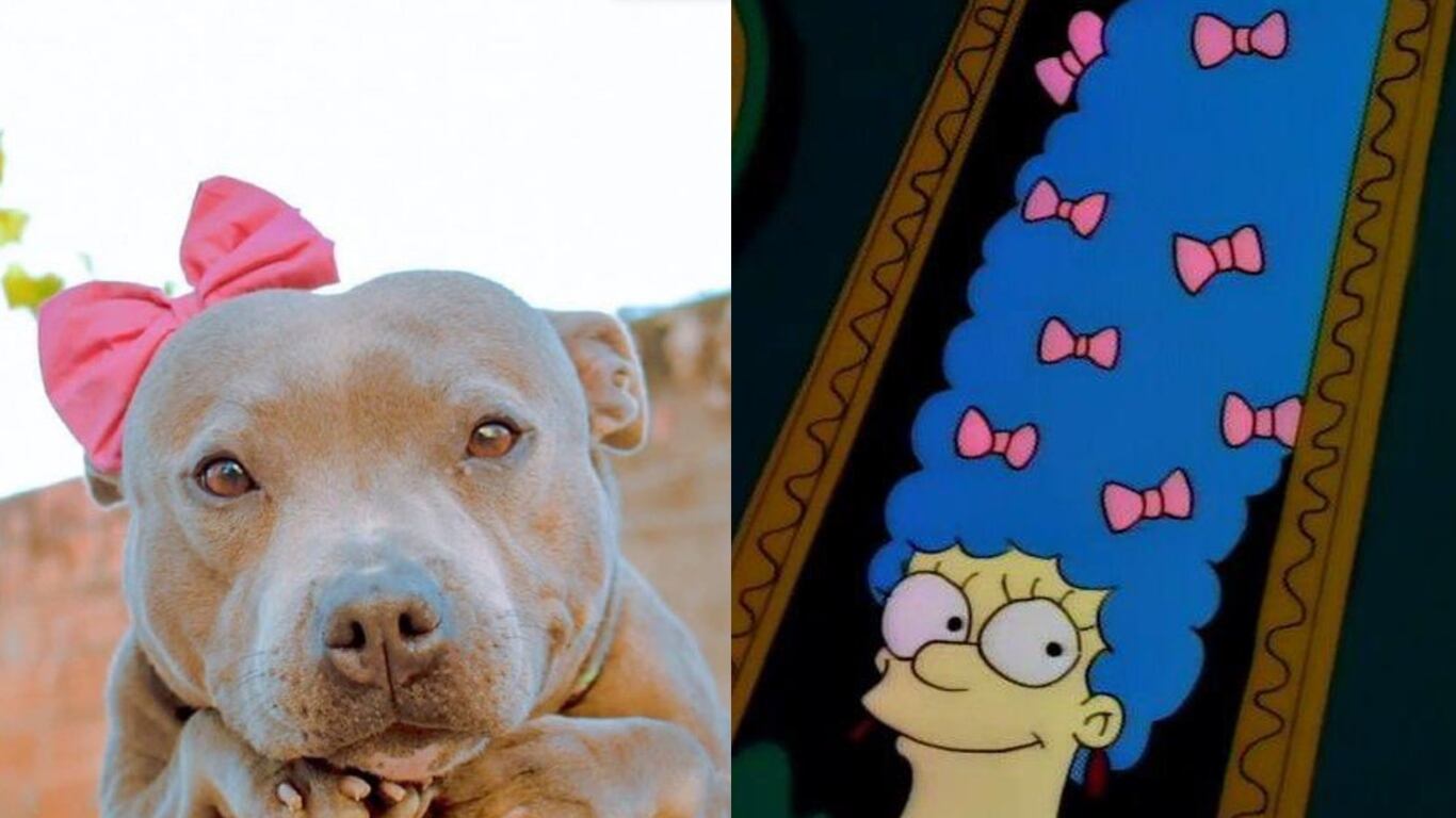 Tal parece que lo ‘Aesthetic’ ha sido desplazado por ‘Coquette’ ya que las redes sociales se han inundado con la tendencia.