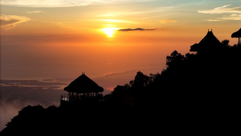 Reserva de ProAves en la Sierra Nevada.