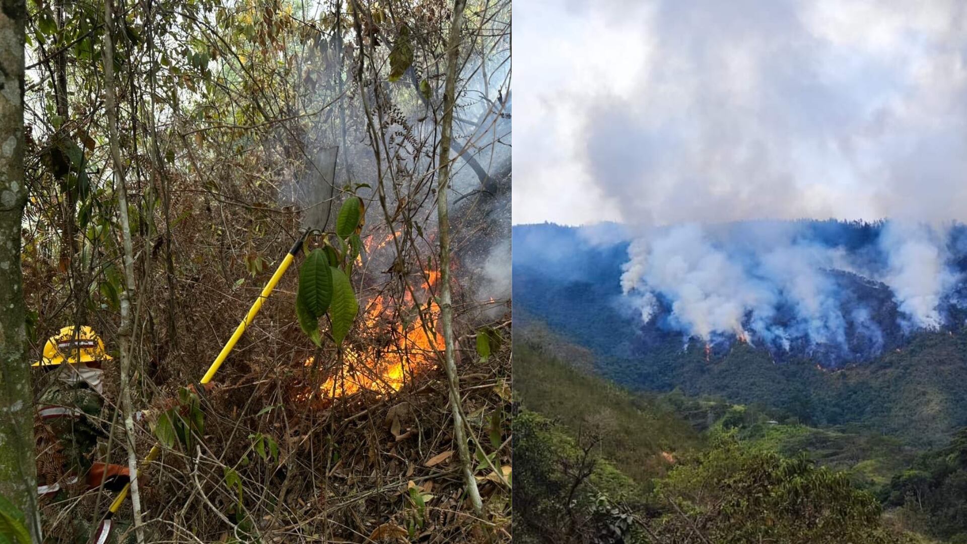 ¿Fue causado? Graban la magnitud de consecuencia de incendio forestal en la vía Floridablanca, Santander