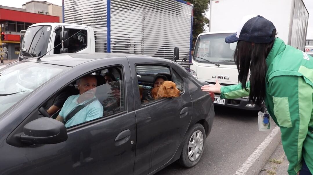 Perros de viaje - Viajando con su mascota - Siga estos consejos si va a viajar con su animal de compañía