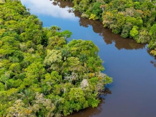 Colombia, Brasil y Bolivia unen fuerzas para proteger la selva amazónica y sus indígenas