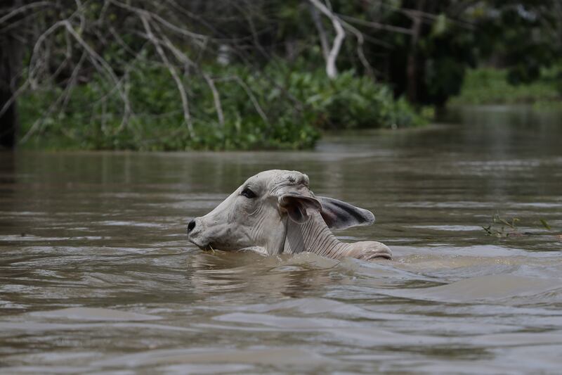 Juan Pablo Pino - PUBLIMETRO