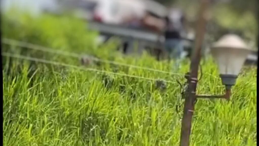 Pareja grabó video cerca del aeropuerto de Bucaramanga