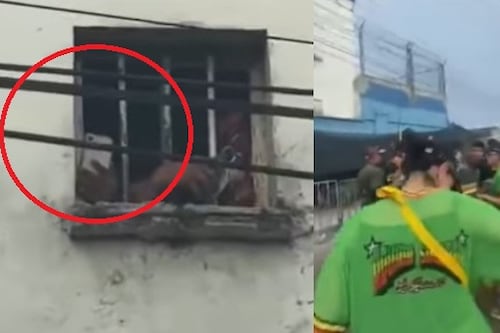 Desde prisión grabaron el Carnaval: internos de la Cárcel Modelo usan celulares de alta gama