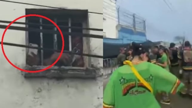 Foto mientras miles celebraban la Batalla de Flores, videos revelaron a internos de la Cárcel Modelo usando celulares de alta gama.