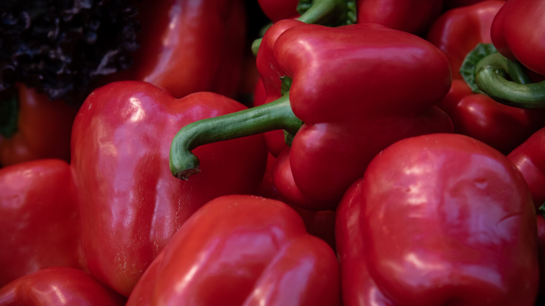 Pimientos rojos.