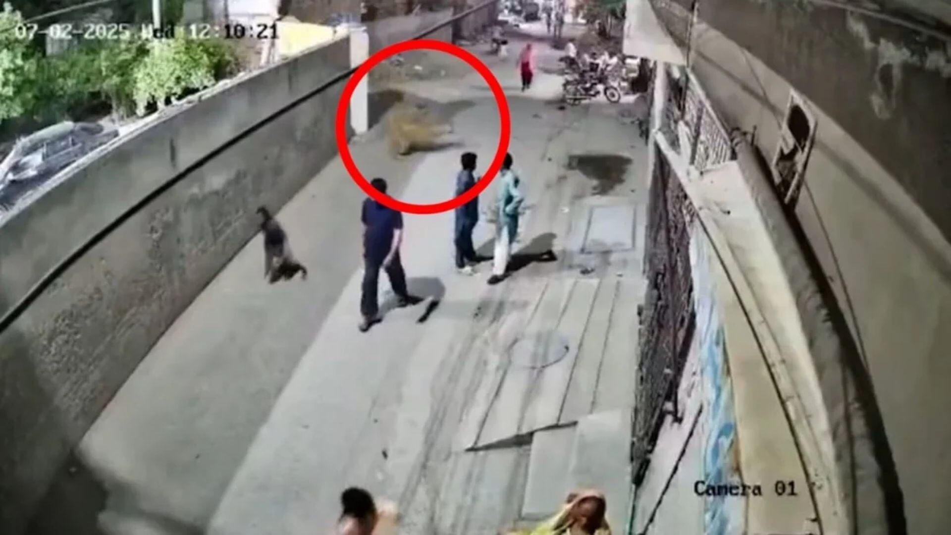 Las víctimas son una madre y sus hijos